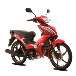 prize-icon